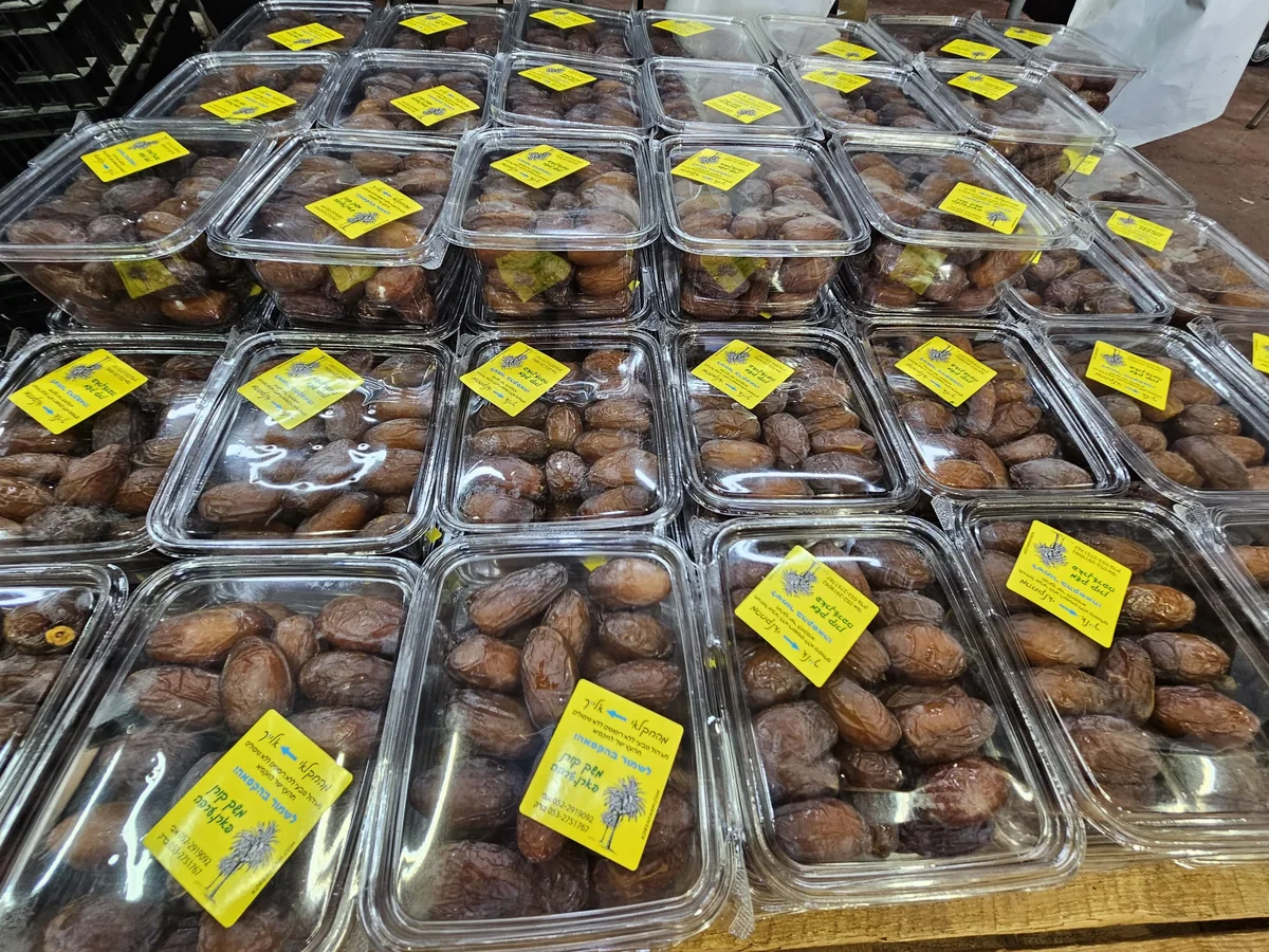 שורות קופסאות תמרים סגורות עם מדבקות צהובות