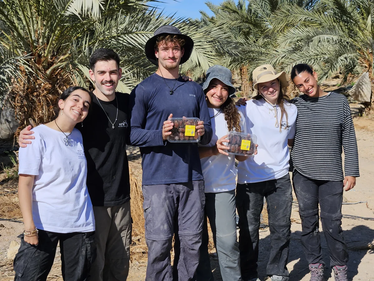 קבוצה במטע מחזיקה קופסאות תמרים