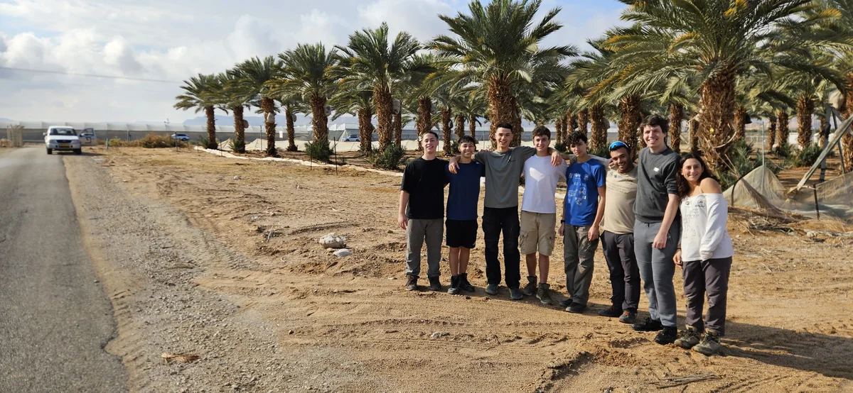 קבוצה עומדת ליד דרך ושורת דקלים